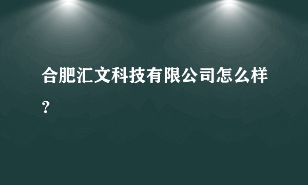 合肥汇文科技有限公司怎么样？