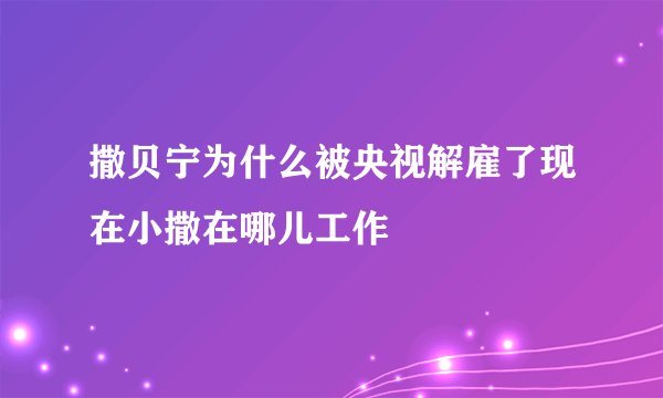 撒贝宁为什么被央视解雇了现在小撒在哪儿工作