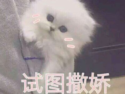 撒娇八连台词