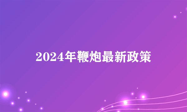 2024年鞭炮最新政策