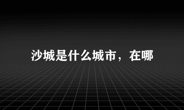 沙城是什么城市，在哪