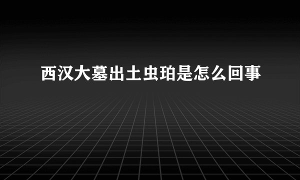西汉大墓出土虫珀是怎么回事