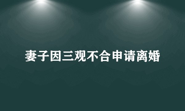 妻子因三观不合申请离婚