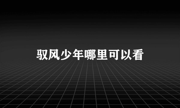 驭风少年哪里可以看