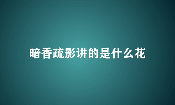 暗香疏影讲的是什么花