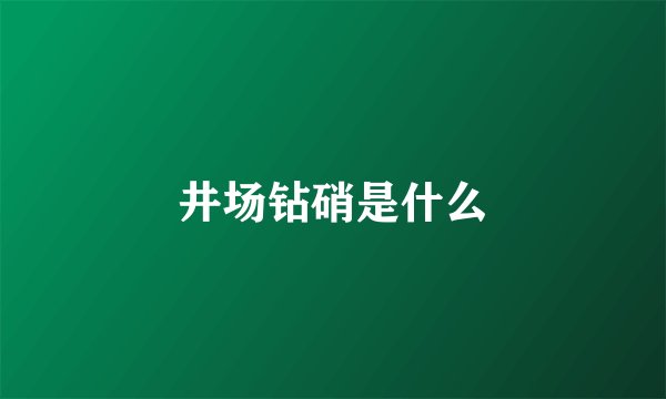 井场钻硝是什么