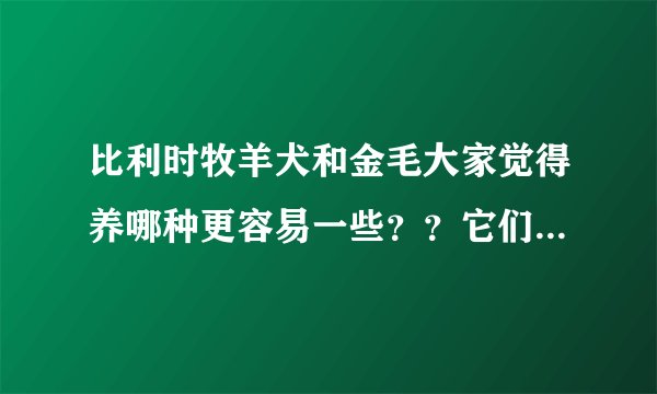 比利时牧羊犬和金毛大家觉得养哪种更容易一些？？它们的价格大概是多少？？想养个大型犬 还帮我推荐几种吧