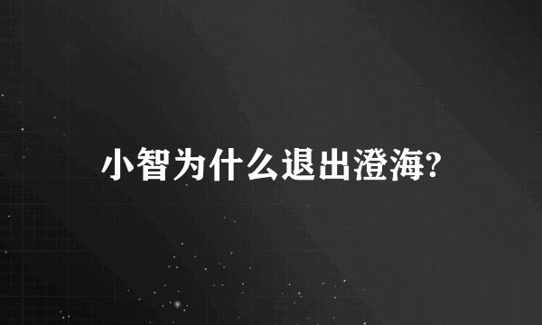 小智为什么退出澄海?