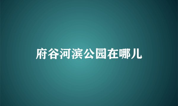 府谷河滨公园在哪儿