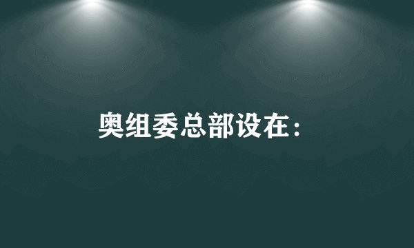 奥组委总部设在：
