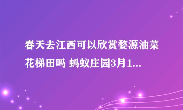 春天去江西可以欣赏婺源油菜花梯田吗 蚂蚁庄园3月10日答案