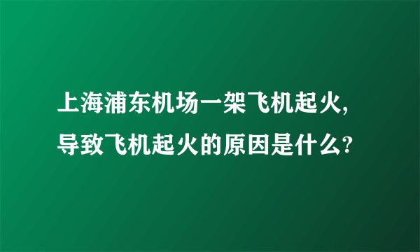 上海浦东机场一架飞机起火,导致飞机起火的原因是什么?