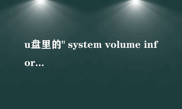 u盘里的