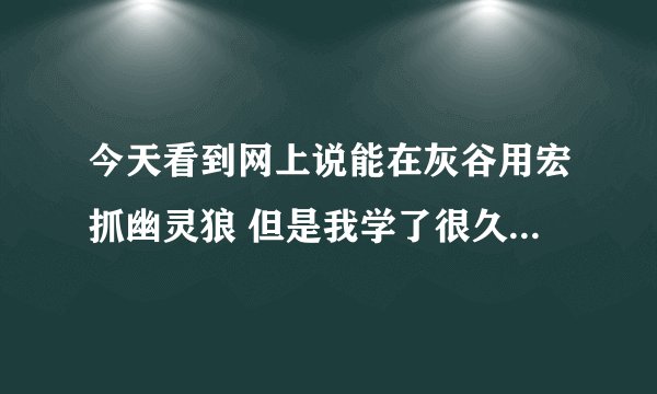 今天看到网上说能在灰谷用宏抓幽灵狼 但是我学了很久没学会 各位大大们 教教我呗