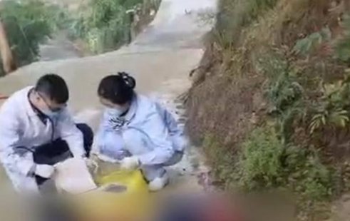 男童被恶狗咬死，其父接受55万和解，遇到恶狗该如何应对？