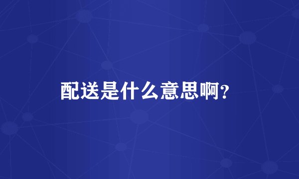 配送是什么意思啊？