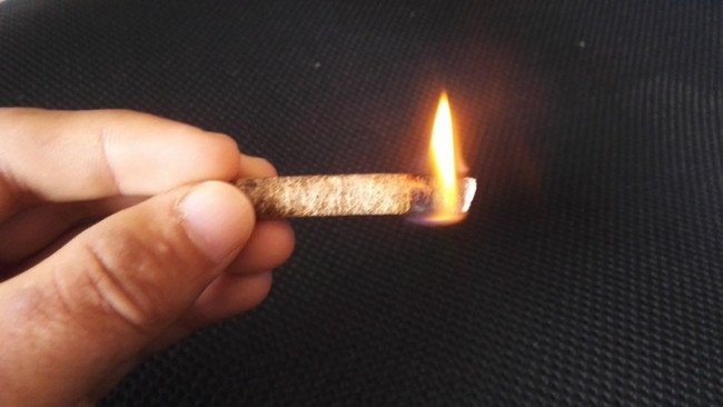 什么是生物质？