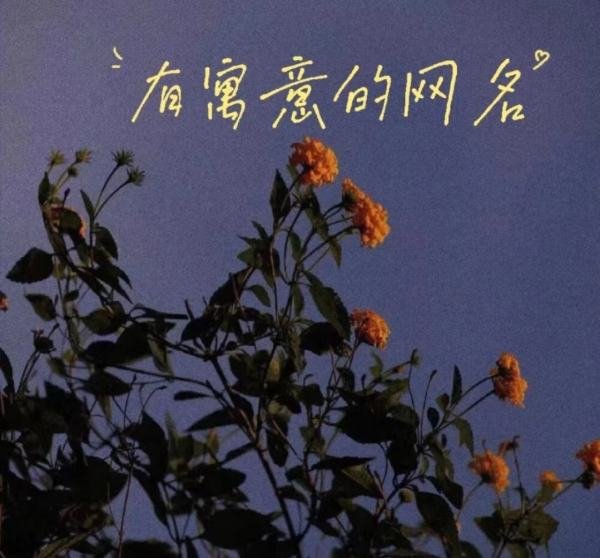 2023年女最旺财的网名有哪些？