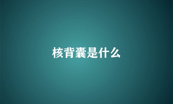 核背囊是什么