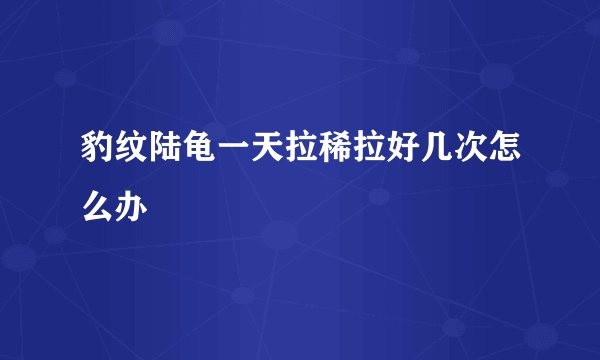 豹纹陆龟一天拉稀拉好几次怎么办