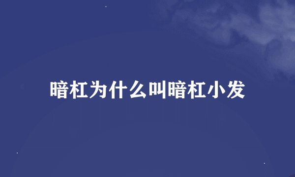 暗杠为什么叫暗杠小发