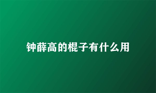 钟薛高的棍子有什么用