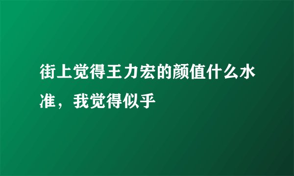 街上觉得王力宏的颜值什么水准，我觉得似乎