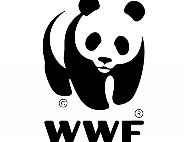 哪一个公益组织的图标是大熊猫