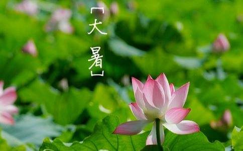 大暑的意思是什么？