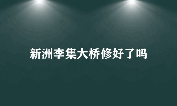 新洲李集大桥修好了吗