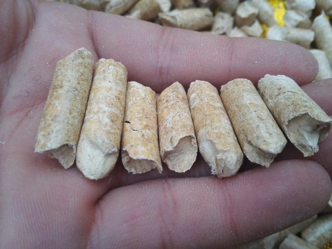 什么是生物质?