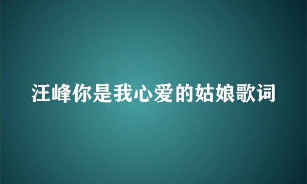 汪峰你是我心爱的姑娘歌词