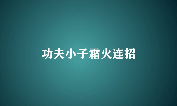 功夫小子霜火连招