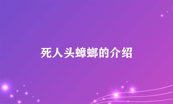 死人头蟑螂的介绍