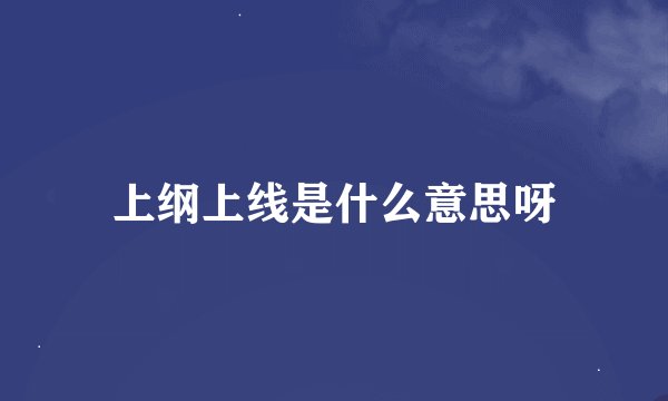 上纲上线是什么意思呀