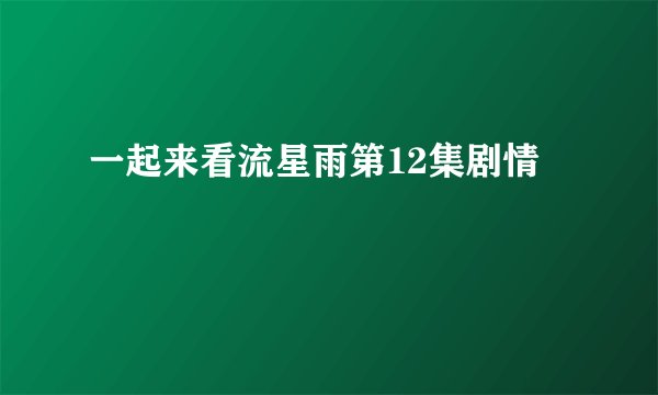 一起来看流星雨第12集剧情