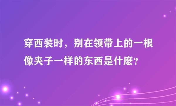 穿西装时，别在领带上的一根像夹子一样的东西是什麽？