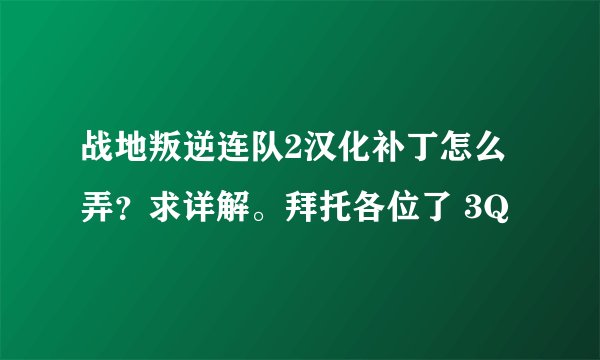 战地叛逆连队2汉化补丁怎么弄？求详解。拜托各位了 3Q