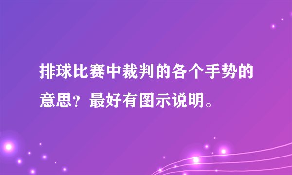 排球比赛中裁判的各个手势的意思？最好有图示说明。