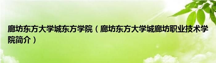 廊坊东方大学城东方学院廊坊东方大学城廊坊职业技术学院简介