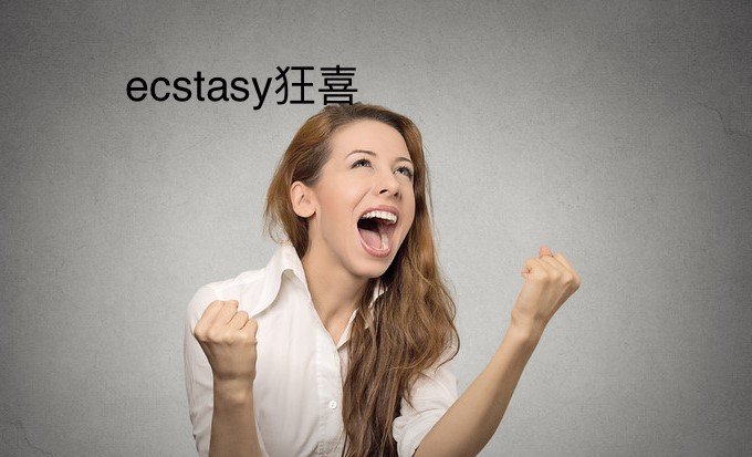 ecstasy中文翻译