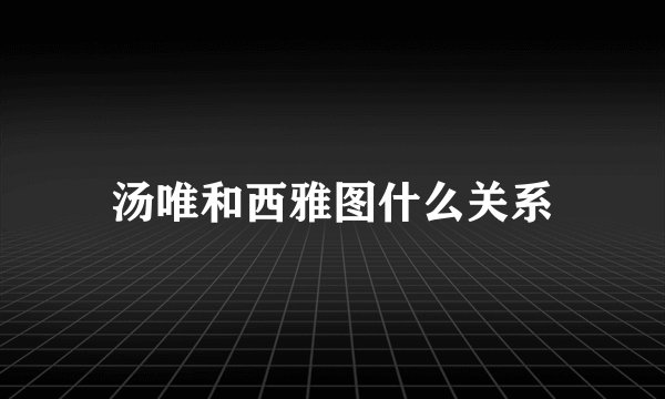 汤唯和西雅图什么关系