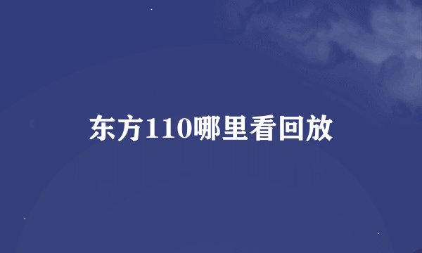 东方110哪里看回放
