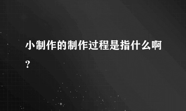 小制作的制作过程是指什么啊？