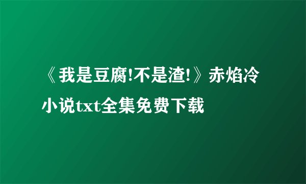 《我是豆腐!不是渣!》赤焰冷小说txt全集免费下载