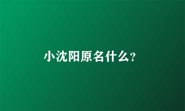 小沈阳原名什么？