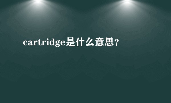 cartridge是什么意思？