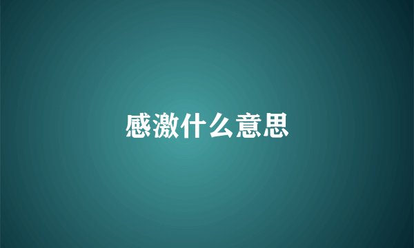 感激什么意思