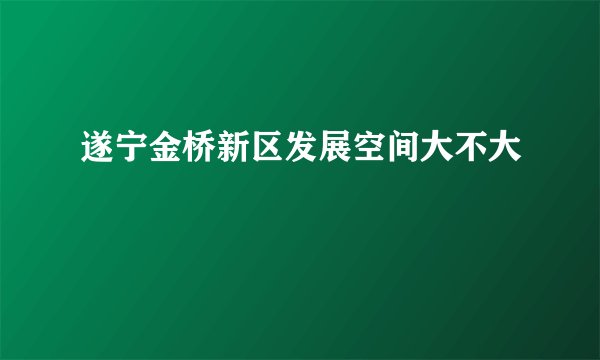 遂宁金桥新区发展空间大不大