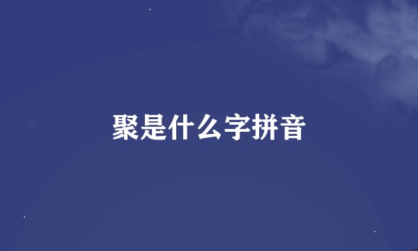 聚是什么字拼音